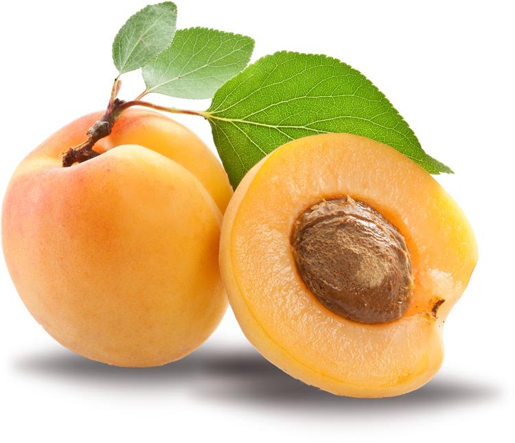 apricot fruit image