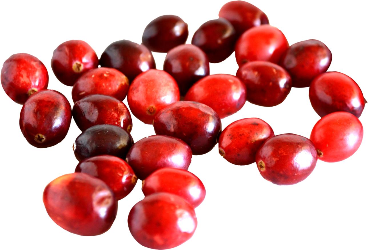 cranberry fruit image