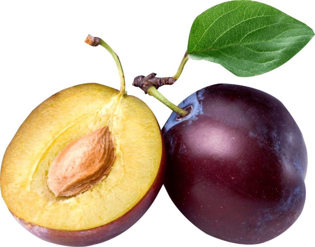 plum fruit image