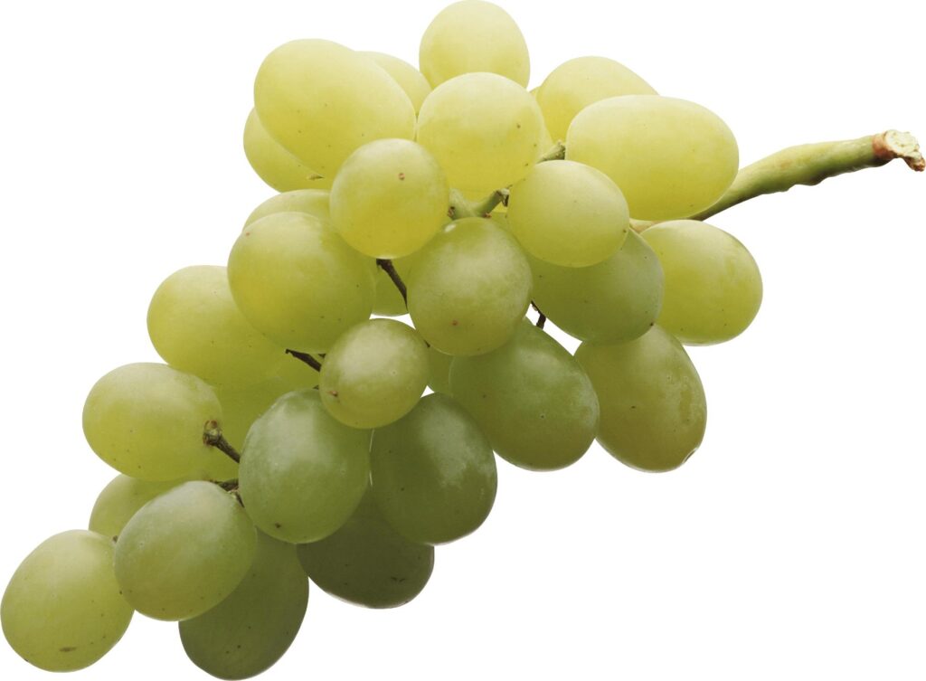 grapes fruit image