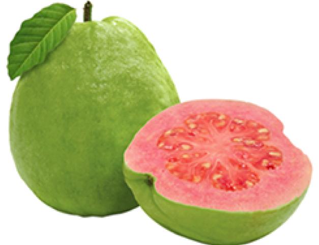guava fruit image