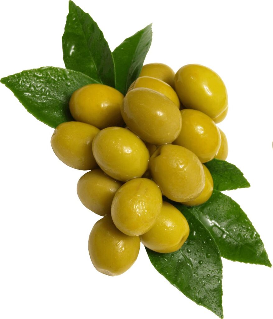 olive fruit image