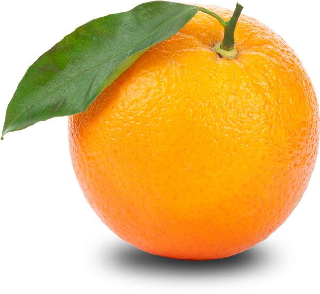 orange fruit image