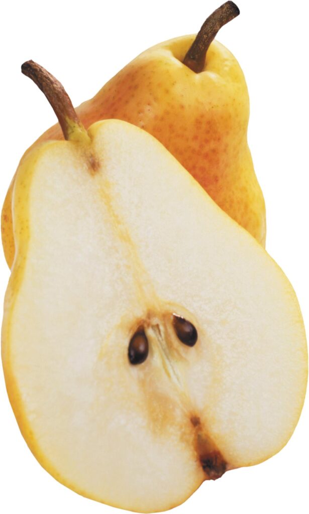 pear fruit image
