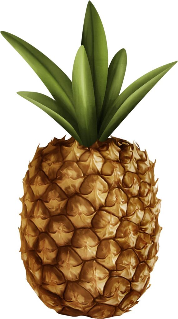 pineapple fruit image